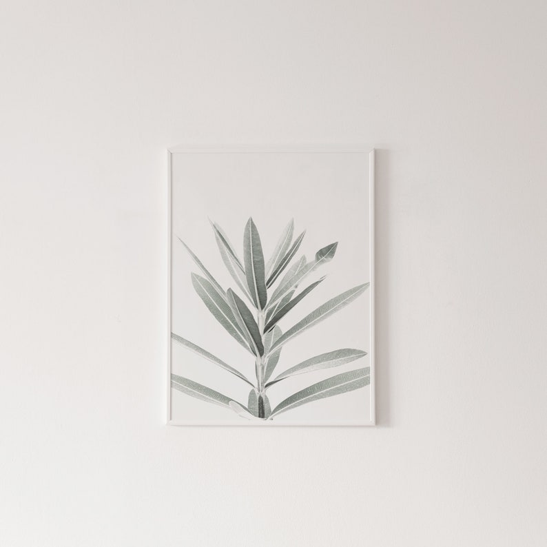 Canvas Wall Art Eucalyptus and Lavender Prints Set of 3 Unframed 3