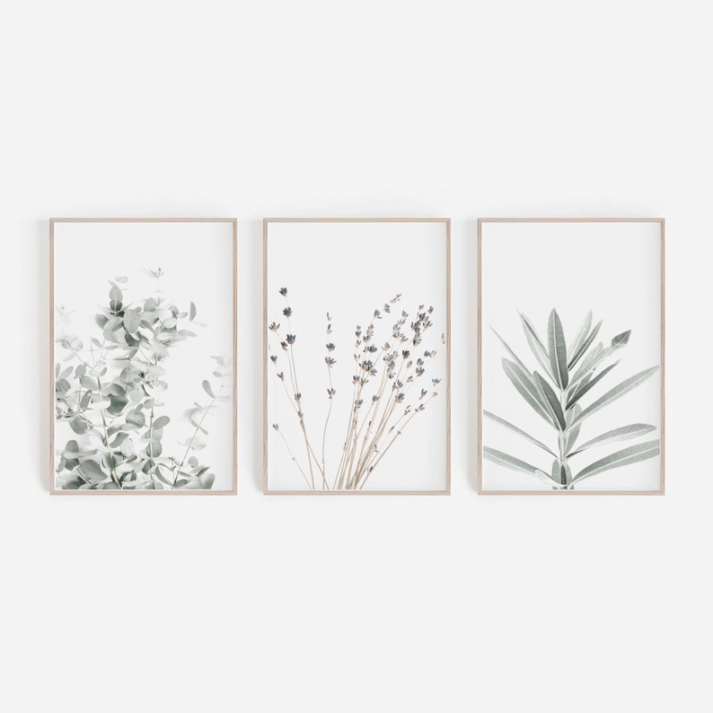 Canvas Wall Art Eucalyptus and Lavender Prints Set of 3 Unframed 4