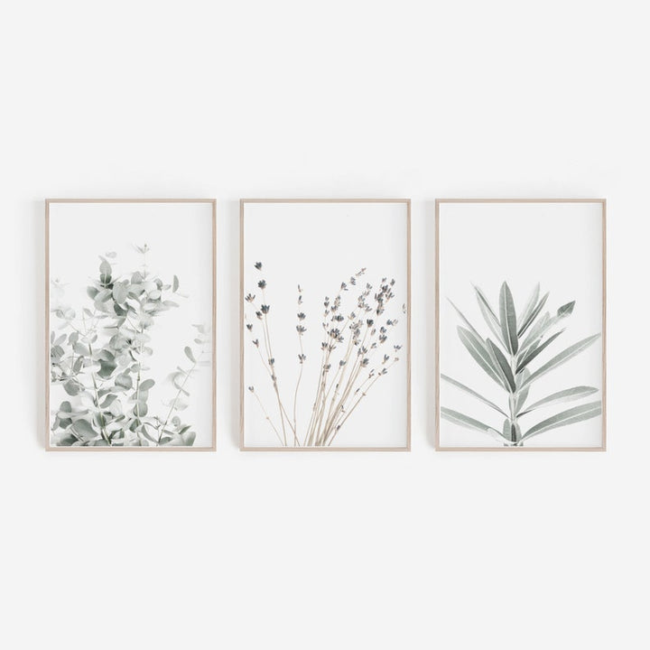 Canvas Wall Art Eucalyptus and Lavender Prints Set of 3 Unframed 4