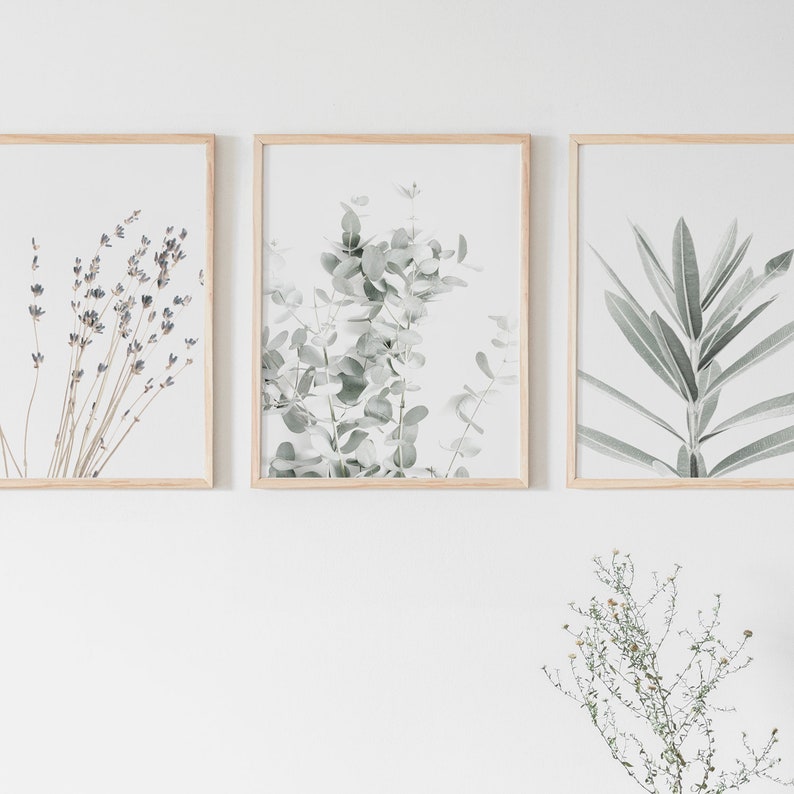 Canvas Wall Art Eucalyptus and Lavender Prints Set of 3 Unframed 5
