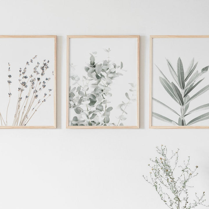 Canvas Wall Art Eucalyptus and Lavender Prints Set of 3 Unframed 5