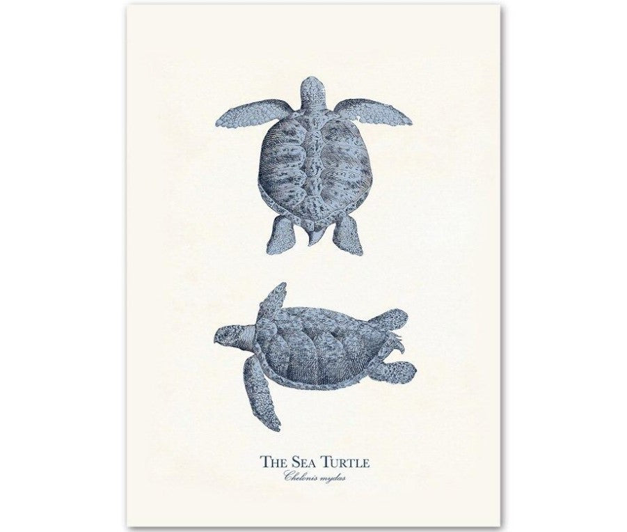 Canvas Wall Art Sea Life Prints Set of 9 Unframed 1