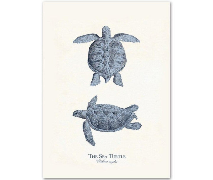 Canvas Wall Art Sea Life Prints Set of 9 Unframed 1