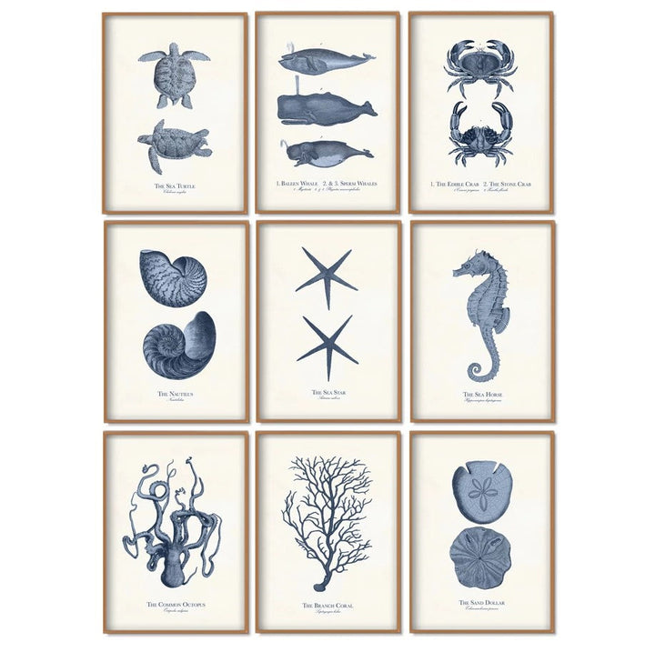 Canvas Wall Art Sea Life Prints Set of 9 Unframed 10