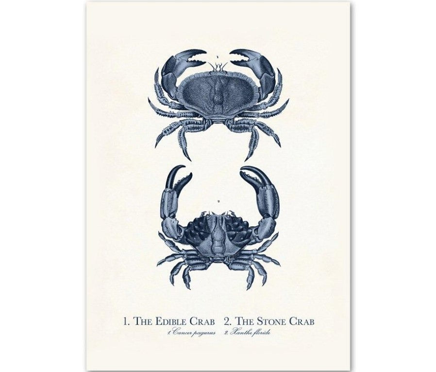 Canvas Wall Art Sea Life Prints Set of 9 Unframed 3