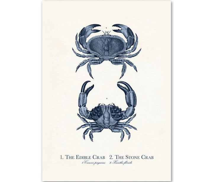 Canvas Wall Art Sea Life Prints Set of 9 Unframed 3