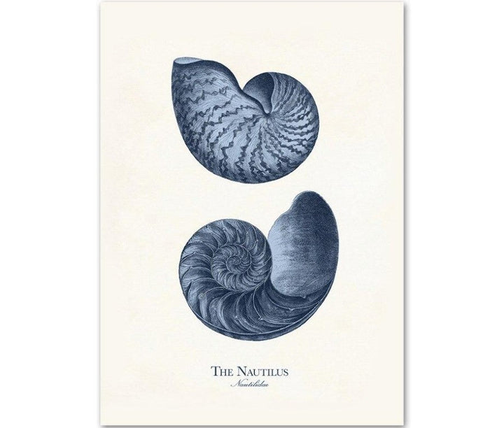 Canvas Wall Art Sea Life Prints Set of 9 Unframed 4