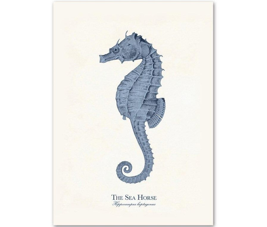Canvas Wall Art Sea Life Prints Set of 9 Unframed 6