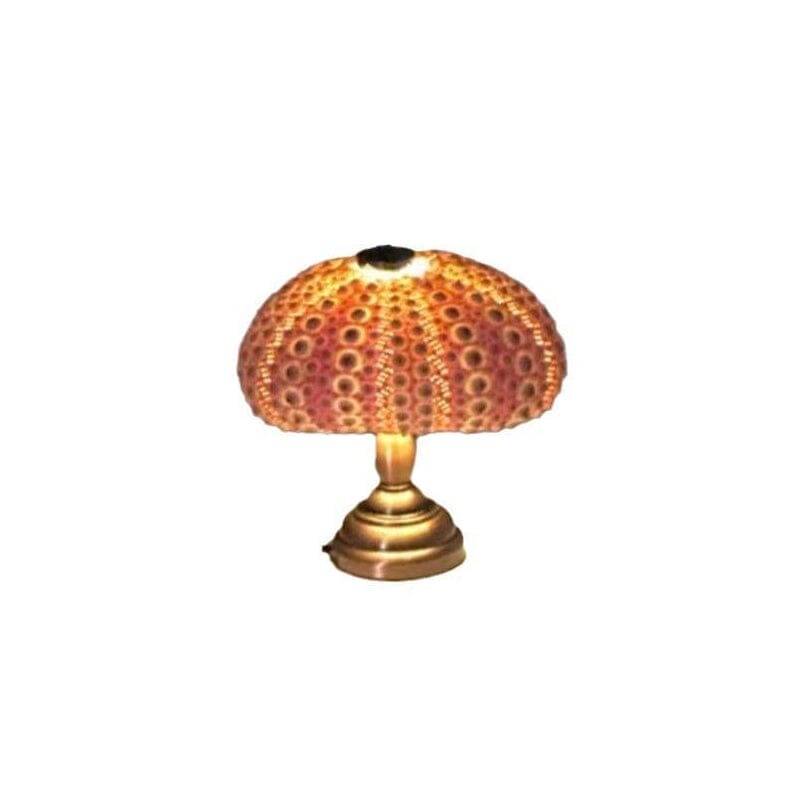 DIY Sea Urchin Night Light Kit Mini Table Lamp Set of 2 1