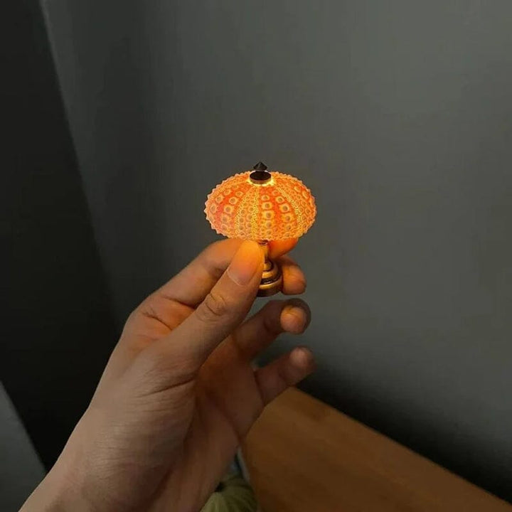 DIY Sea Urchin Night Light Kit Mini Table Lamp Set of 2 4