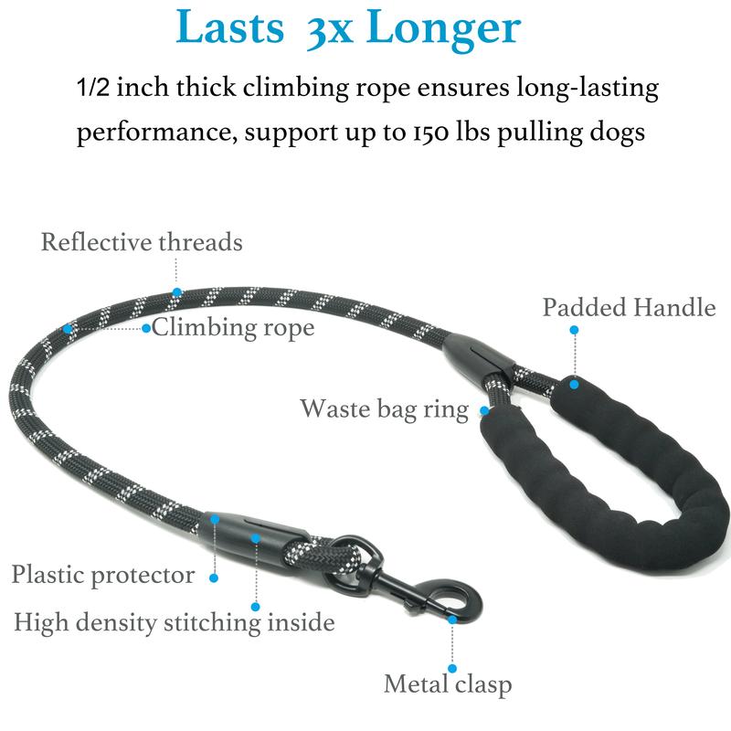 Double Dog Leash with Bungee Coupler 31 Inch Rope 2