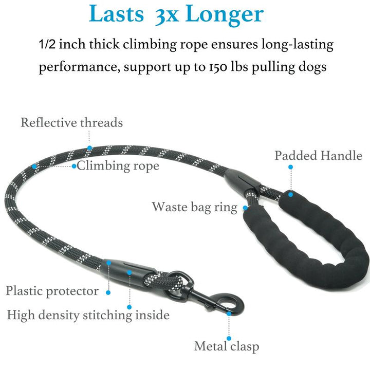 Double Dog Leash with Bungee Coupler 31 Inch Rope 2