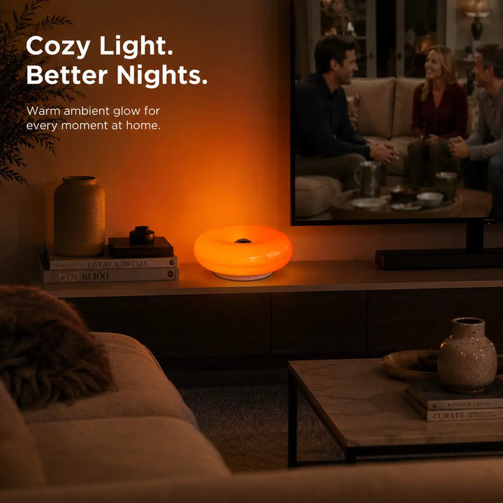 Doughnut LED Night Lamp Touch and Remote Control 16 Colors 4