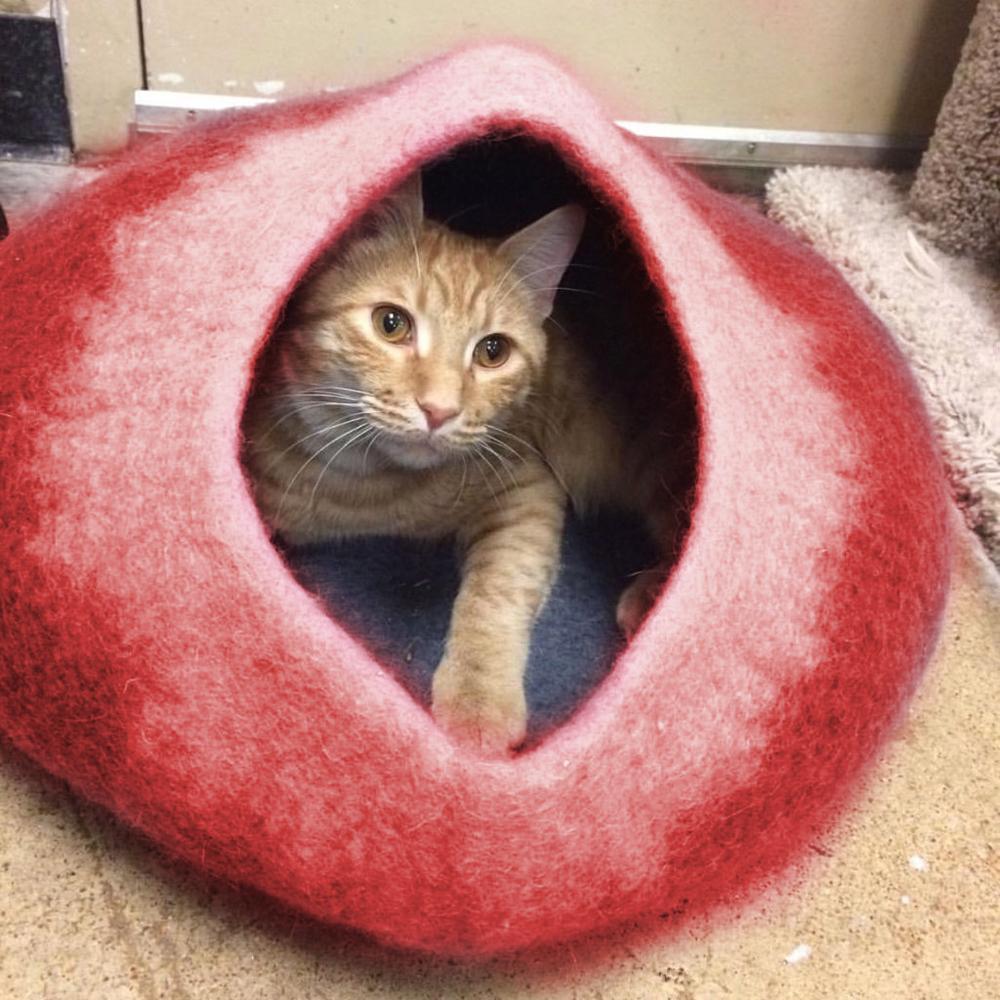 Felted Wool Cat Cave Bed 18.9 x 14.2 Inch Red 1