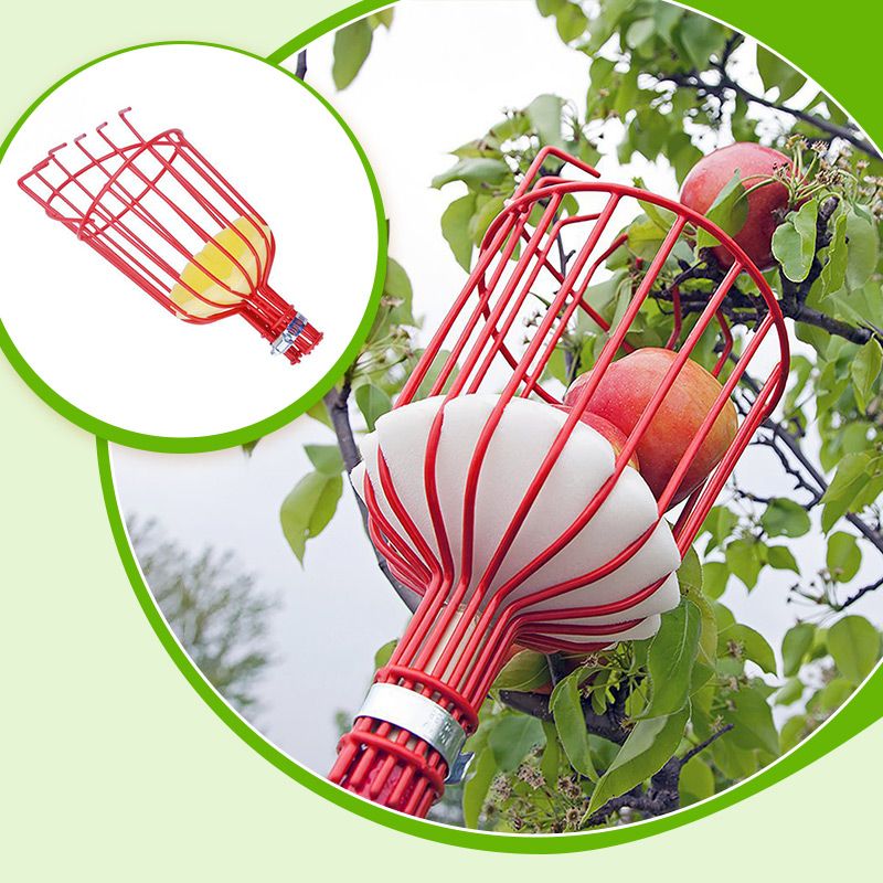 Fruit Picker Basket Head 13.6 x 5.7 Inch Iron Wire Set of 2 1