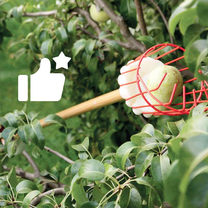 Fruit Picker Basket Head 13.6 x 5.7 Inch Iron Wire Set of 2 2