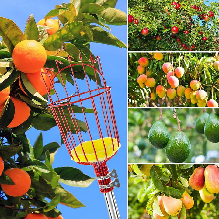 Fruit Picker Basket Head 13.6 x 5.7 Inch Iron Wire Set of 2 3