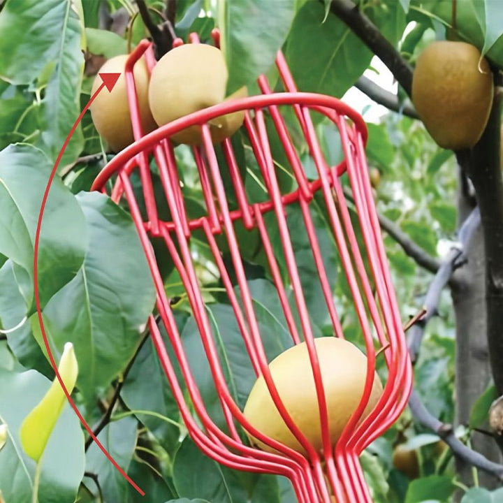 Fruit Picker Basket Head 13.6 x 5.7 Inch Iron Wire Set of 2 4
