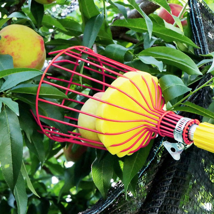 Fruit Picker Basket Head 13.6 x 5.7 Inch Iron Wire Set of 2 5