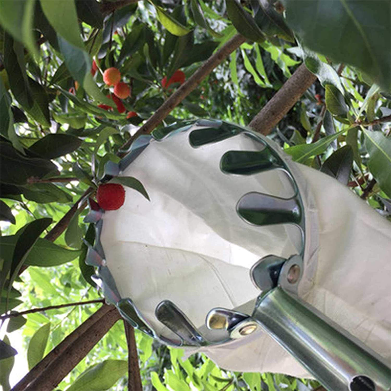 Fruit Picker Basket with Stainless Steel Pole 2