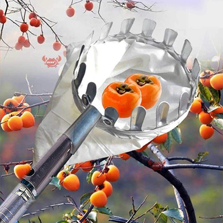 Fruit Picker Basket with Stainless Steel Pole 3