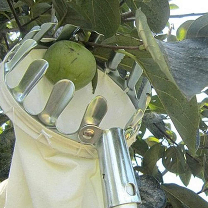 Fruit Picker Basket with Stainless Steel Pole 7