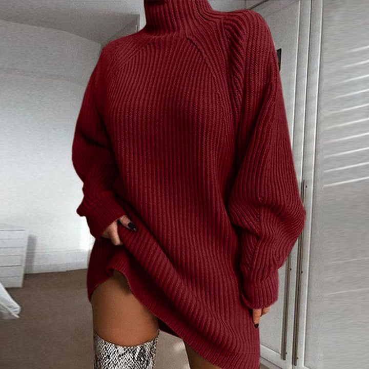 Loose Fit Ribbed Knit Turtleneck Sweater Dress Burgundy 1