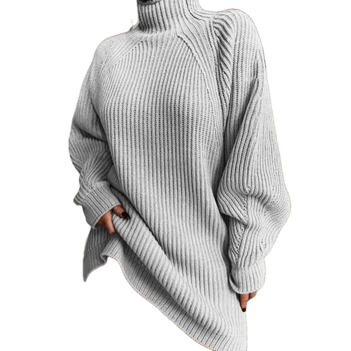 Loose Fit Ribbed Knit Turtleneck Sweater Dress on white