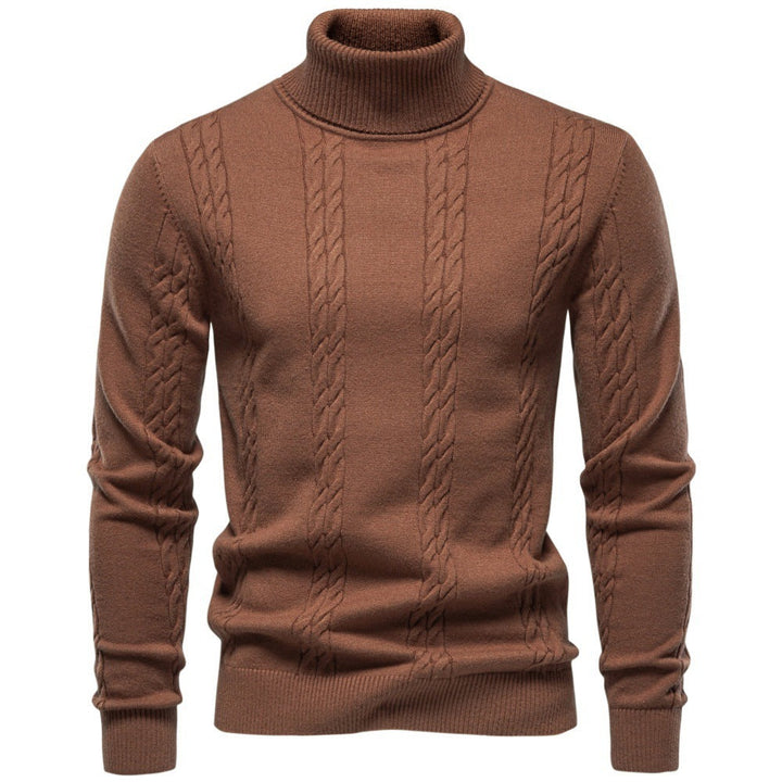 Regular Fit Cable Knit Turtleneck Sweater Brown 1